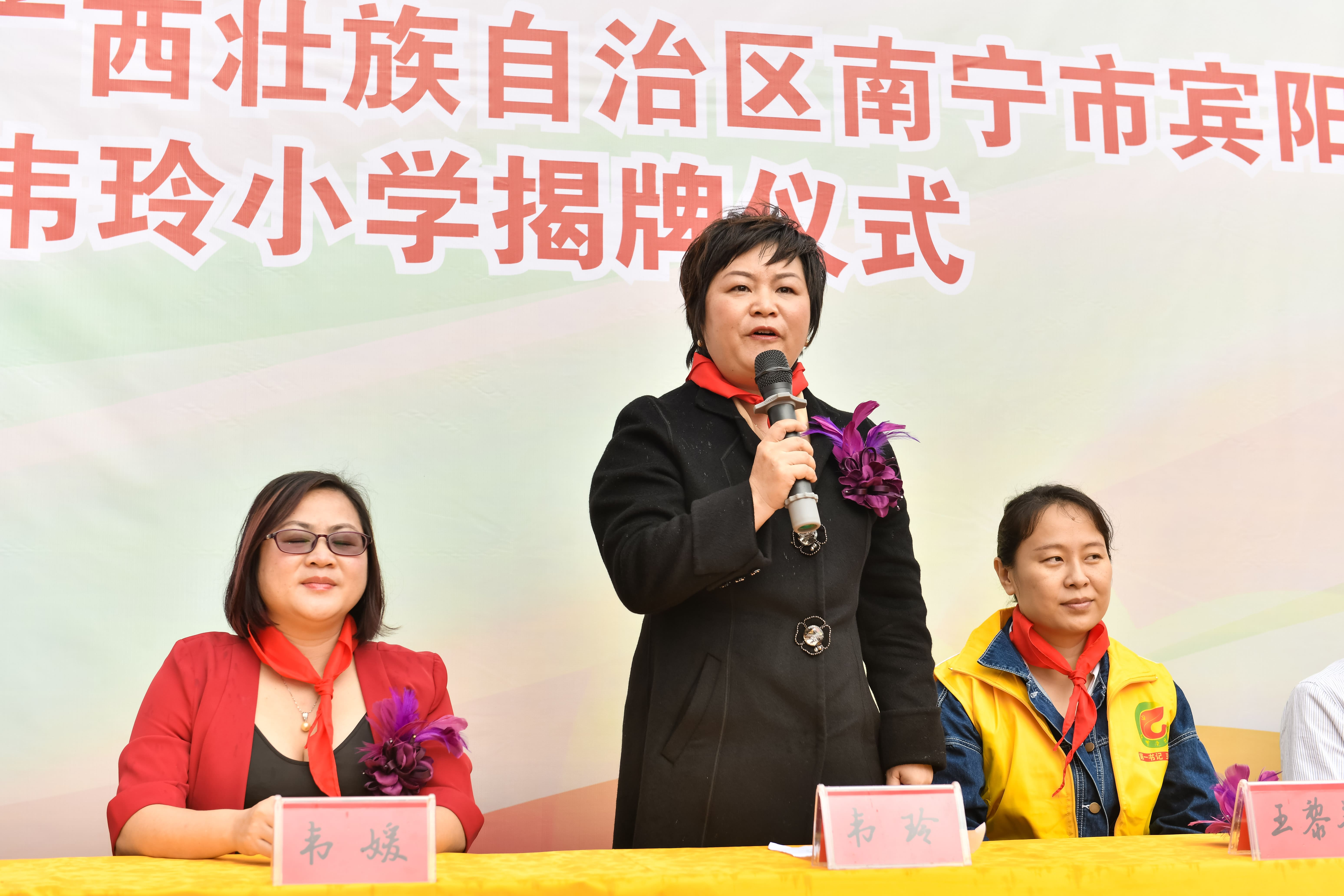 第184所 南宁市宾阳县思陇镇昆仑村贝博游戏平台韦玲小学 第184所 南宁市宾阳县思陇镇昆仑村贝博游戏平台韦玲小学